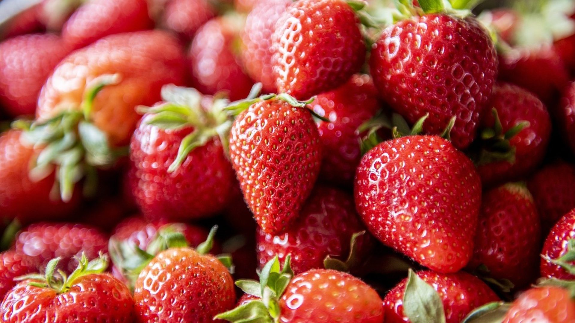 Fresas