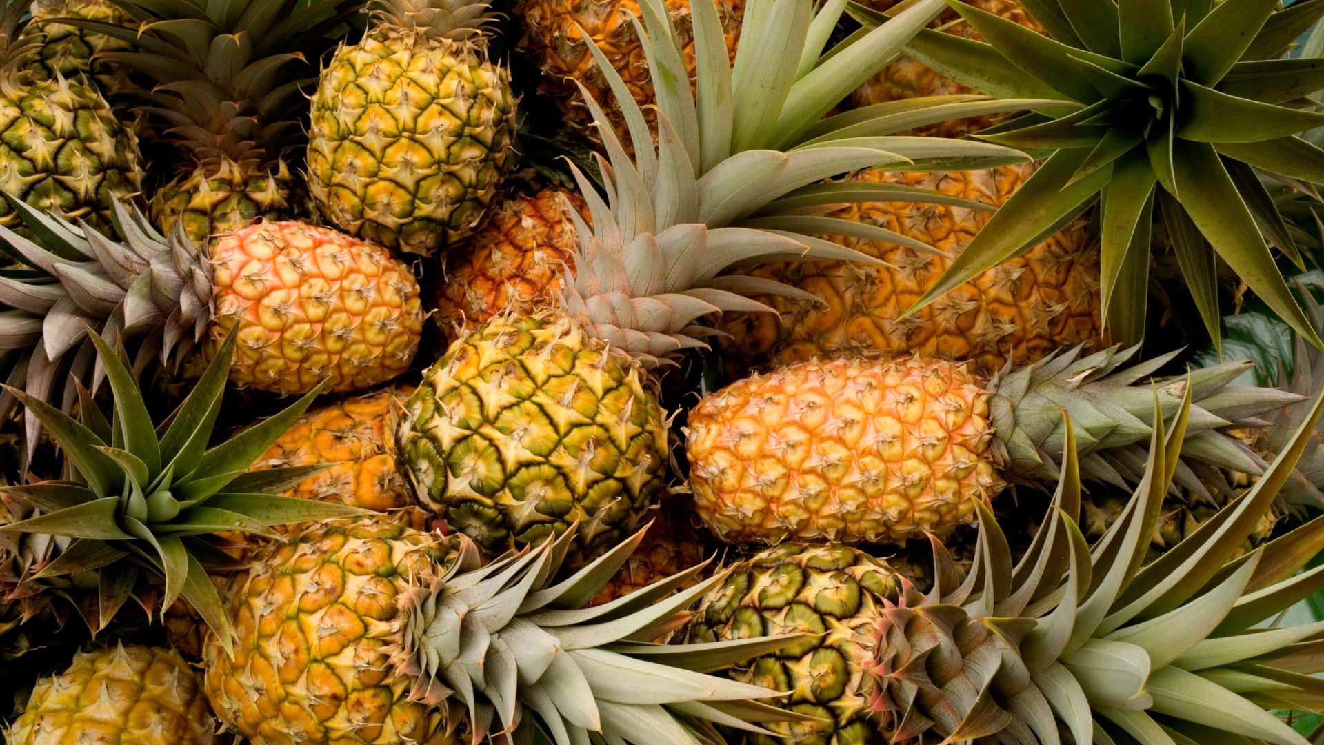 Fresh,Pineapples,Background